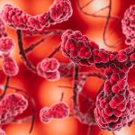 Klebsiella